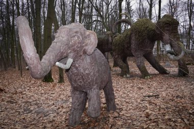 Kyiv, Ukrayna 27 Ocak 2025: Ulusal Yaşam ve Çevre Bilimleri Üniversitesi Botanik Bahçesi topraklarında dev bir mamutun heykeli