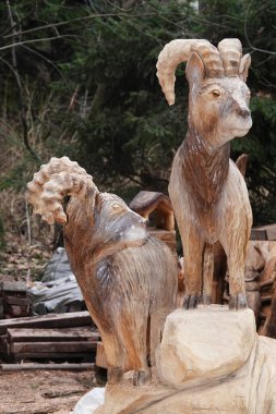 Kyiv, Ukrayna 27 Ocak 2025: Ukrayna Botanik Bahçesi bölgesindeki tek bir odun parçasından oyulmuş bir dağ koçu heykeli