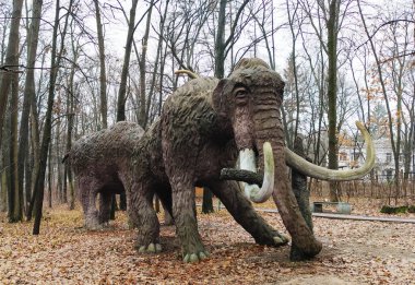 Kyiv, Ukrayna 27 Ocak 2025: Ulusal Yaşam ve Çevre Bilimleri Üniversitesi Botanik Bahçesi topraklarında dev bir mamutun heykeli