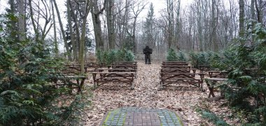 Kyiv, Ukrayna 27 Ocak 2025: Ukrayna Botanik Bahçesi bölgesindeki tek bir tahta parçasından oyulmuş Yeti Kardan Adam heykeli