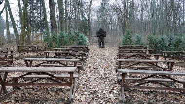 Kyiv, Ukrayna 27 Ocak 2025: Ukrayna Botanik Bahçesi bölgesindeki tek bir tahta parçasından oyulmuş Yeti Kardan Adam heykeli