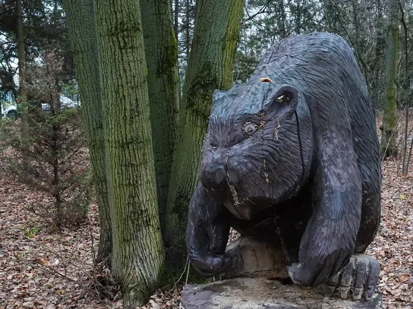 Kyiv, Ukrayna 27 Ocak 2025: Kunduz heykeli - Ukrayna Ulusal Hayat ve Çevre Bilimleri Üniversitesi Botanik Bahçesi bölgesindeki tek bir odun parçasından oyuldu