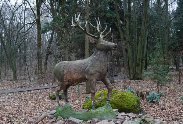 Kyiv, Ukrayna 27 Ocak 2025: Geyik heykeli Ulusal Yaşam ve Çevre Bilimleri Üniversitesi Botanik Bahçesi bölgesindeki tek bir odun parçasından oyuldu 