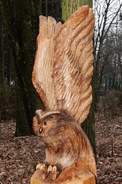 Kyiv, Ukrayna 27 Ocak 2025: Ukrayna Ulusal Yaşam ve Çevre Bilimleri Üniversitesi Botanik Bahçesi topraklarında tek bir tahta parçasından oyulmuş baykuş heykeli