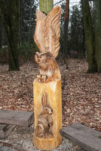 Kyiv, Ukrayna 27 Ocak 2025: Ukrayna Ulusal Yaşam ve Çevre Bilimleri Üniversitesi Botanik Bahçesi topraklarında tek bir tahta parçasından oyulmuş baykuş heykeli