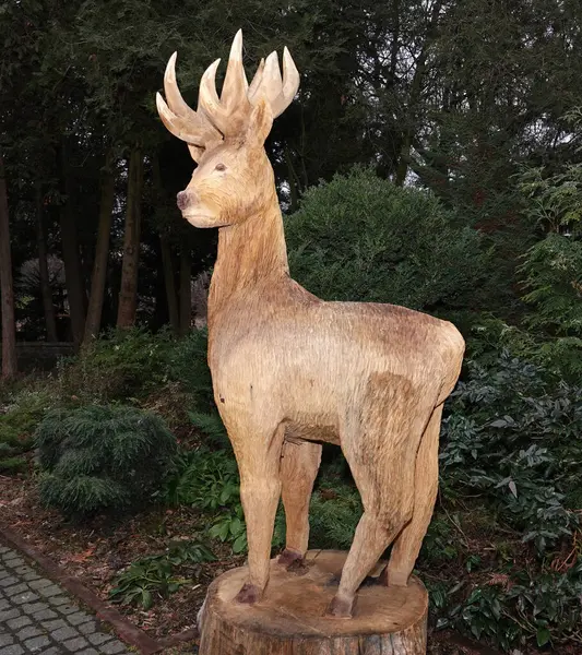 Kyiv, Ukrayna 27 Ocak 2025: Ukrayna Botanik Bahçesi bölgesindeki tek bir odun parçasından oyulmuş bir geyik heykeli