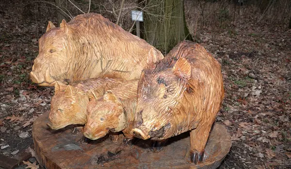 Kyiv, Ukrayna 27 Ocak 2025: Ukrayna Botanik Bahçesi bölgesindeki tek bir odun parçasından oyulmuş bir yabandomuzu ailesinin heykeli