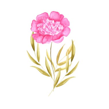 güzel çiçek ile izole simge vektör çizim tasarım yapraklar