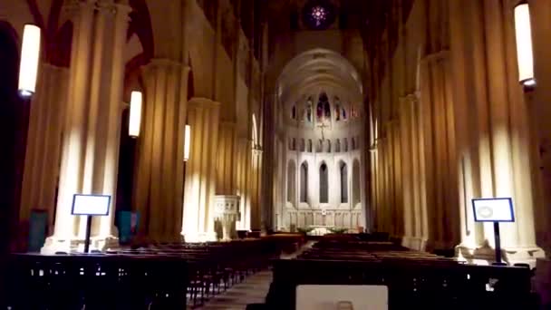 Basilika Notre Dame Fourviere Hochwertiges Filmmaterial — Stockvideo