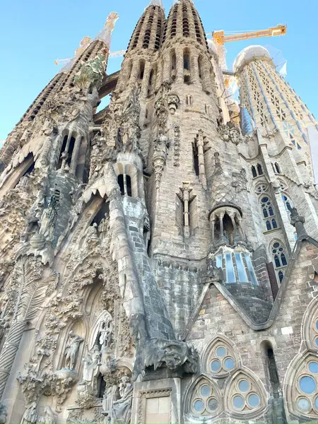  La Sagrada Familia Kilisesi, Barselona, İspanya güzel güneşli bir günde. Yüksek kalite fotoğraf