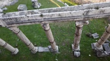 Antik Roma sütunlarının yemyeşil otların arasında dikilip duran yakın çekim görüntüsü.