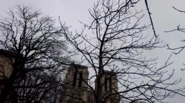 Paris, Fransa 'daki Notre Dame Katedrali' nin bir videosu. Katedral ağaçlar tarafından kısmen gizleniyor ve gökyüzü bulutlu..