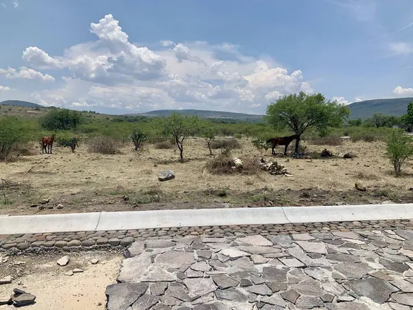  Meksika 'da yeni keşfedilmiş antik bir taş yol, şehrin zengin tarihinin bir parçasını gözler önüne seriyor..
