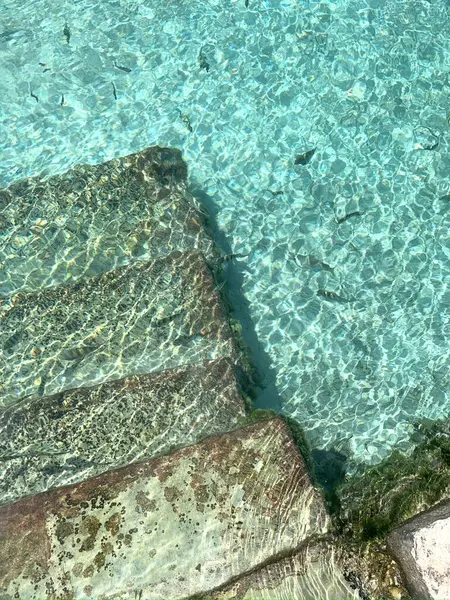 Güneş ışığı suyun içinden süzülerek su altındaki basamaklarda büyüleyici bir ışık ve gölge oyunu yaratır. Sahne bir sükunet ve keşif hissi uyandırıyor..