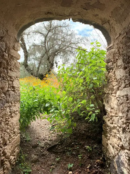 Meksika, Guanajuato 'da sert, taştan bir kemer deliğinden çekilen bir fotoğraf, doğanın ötesinde bir manzaranın çerçevesini sunuyor.