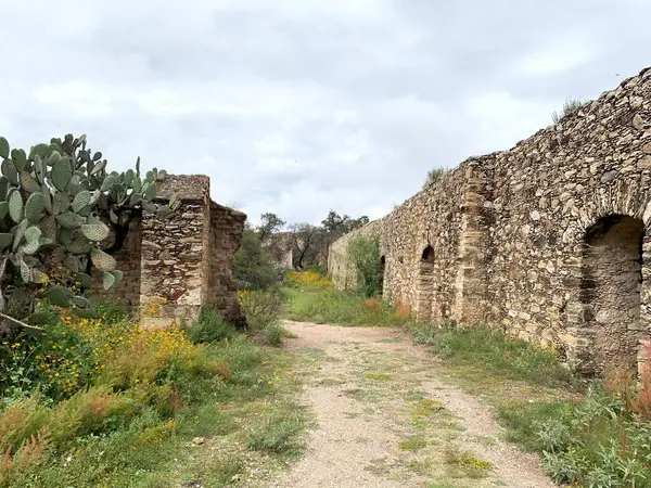 Yıpranmış taş kalıntıları Mineral de Pozos, Guanajuato, Meksika 'da toprak bir patikayı kaplıyor. Üzerinde kemerli açıklıklar ve pürüzlü, dokulu bir yüzey bulunan kalıntılar eski bir