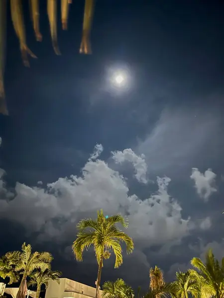 Bu dikey fotoğraf güzel bir tropikal gece sahnesini yakalar. Parlak ay karanlık gökyüzünde görülebilir, kısmen dağınık bulutlar tarafından gizlenmiş, dinamik ve atmosferik bir etki yaratır.. 