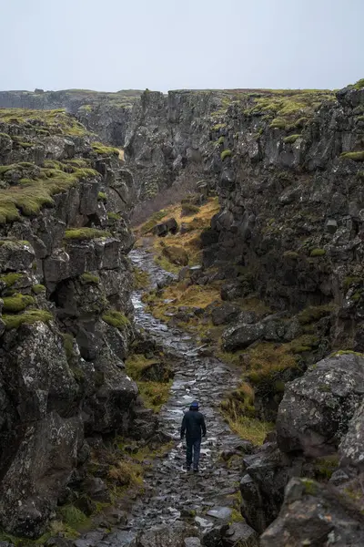Thingvellir Park, İzlanda 'da xarrfoss şelalesine giden yol. İki kıta arasında yürüyebileceğin bir yer..