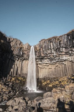 Svartifoss siyah şelalesi. İzlanda 'daki Skaftafell Ulusal Parkı' nda.