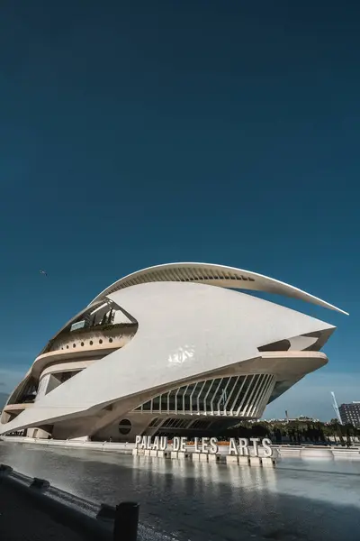 Palacio de Las Artes Reina Kanepesi. Valencia 'da eşsiz ve modern mimarisi olan sanat merkezi opera, tiyatro ve resitaller sunuyor.