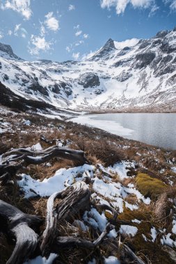 Laguna Nevada, Patagonya 'da. Ushuaia şehrinde gezinti