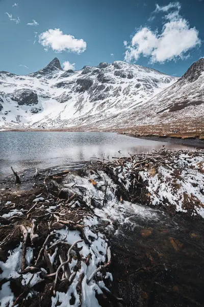 Laguna Nevada, Patagonya 'da. Ushuaia şehrinde gezinti