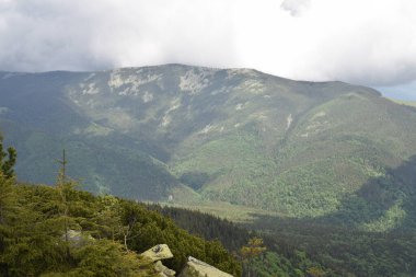 Doğadaki adam Ukrayna