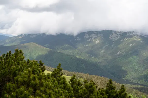 Doğadaki adam Ukrayna