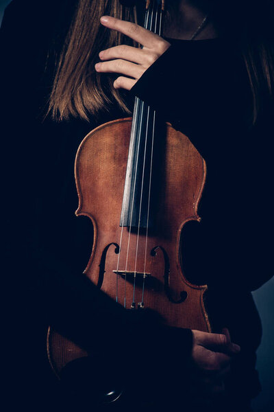 violin in the hands of a girl close-up