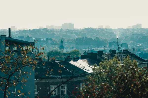 Şehrin panoramik görüntüsü