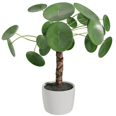 Vazoda şeffaf arkaplanı olan 3D işlemeli bitki.