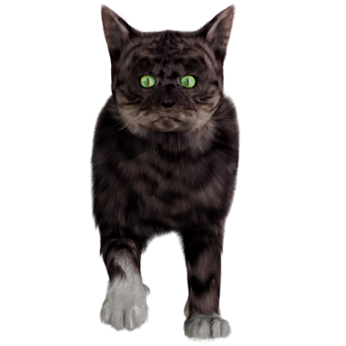 3D rendelenmiş kedi şeffaf yürür