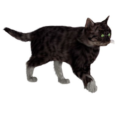 3D rendelenmiş kedi şeffaf yürür