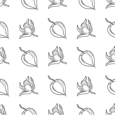 Açık Physalis çiçekli, böğürtlenli ve kapalı kutulu kusursuz desen. Beyaz üzerine izole edilmiş basit çizgi karalama tarzında el çizimi vektör çizimi çizimi çizimi. Sonbahar hasadının sembolü, fırın