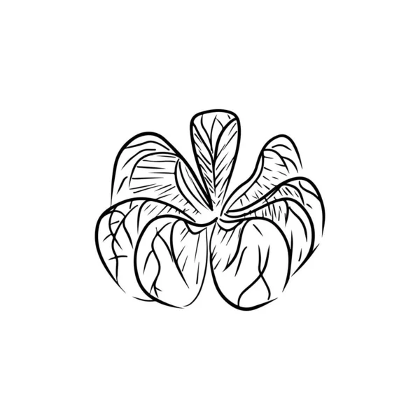 Fruta Tangerina Descascada Preto Isolada Sobre Fundo Branco Desenho Mão —  Vetores de Stock