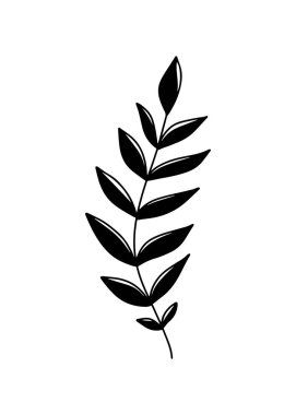 Beyaz arka planda yapraklı ve siyah saplı bir dal silueti. Karalama çizgisi modern moda tarzında el çizimi vektör çizimi. Çiçek tasarımı, botanik, baskı, dekoratif