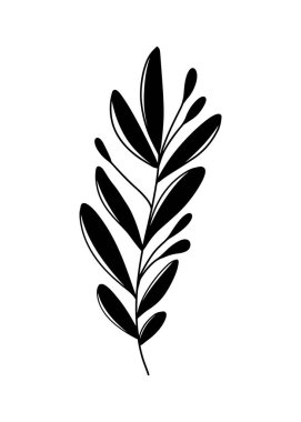 Yuvarlak yapraklı siluet dalı, beyaz arka planda izole edilmiş siyah saplı. Karalama çizgisi modern moda tarzında el çizimi vektör çizimi. Çiçek tasarımı, botanik, baskı, dekoratif, tasarım
