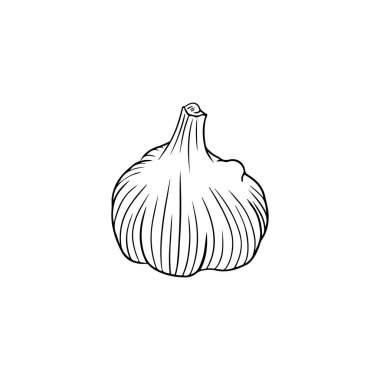 Beyaz arka planda siyahla izole edilmiş gerçekçi sarımsak çizimi. El çizimi vektör çizimi çizimi, karalama, klasik taslak şeklinde. Baharat, sebze, malzeme, lezzetli, sağlıklı yemek.