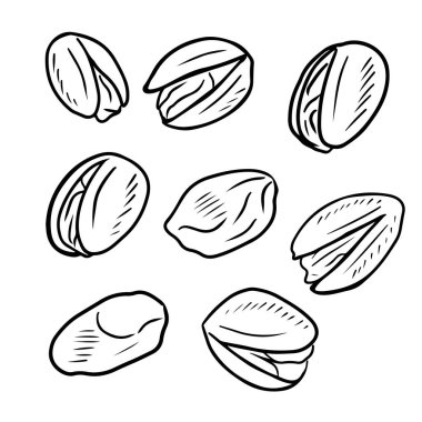 Set of separate realistic pistachios nuts in black isolated on white background. Hand drawn vector sketch illustration in outline vintage engraved style. Salty delicious organic food nutshells, peeled