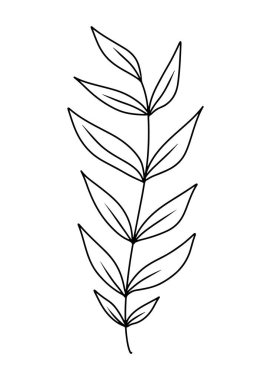 Simple wild branch with leaves and stem in black isolated on white background. Hand drawn vector sketch illustration in doodle engraved vintage outline style. Botanical, plant, line art, beauty