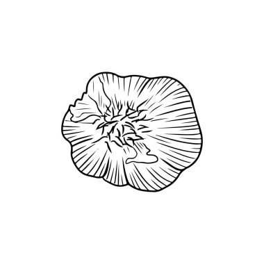 Realistic back garlic illustration in black isolated on white background. Hand drawn vector sketch illustration in doodle engraved vintage outline . Spice,vegetable, ingredient, tasty, healthy food