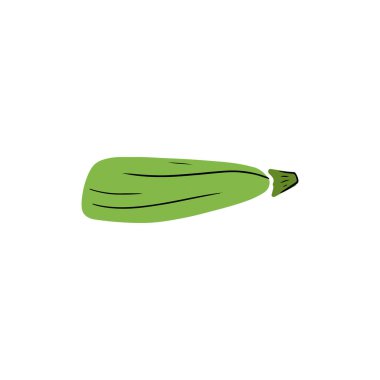 Green zucchini courgette vegetable marrow with black line isolated on white background. Hand drawn vector simple doodle illustration in childrenstyle. Alphabet, healthy, nutrition, diet, cooking