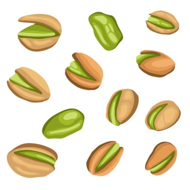 Set of colored realistic roasted pistachios nuts in separate on white background. Salty delicious organic food, nutshells. peeled. Food package, traditional snack, green, healthy, nutritional