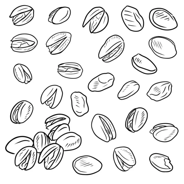 Realistic Pistachios Nuts Group Black Isolated White Background Hand Drawn — Image vectorielle