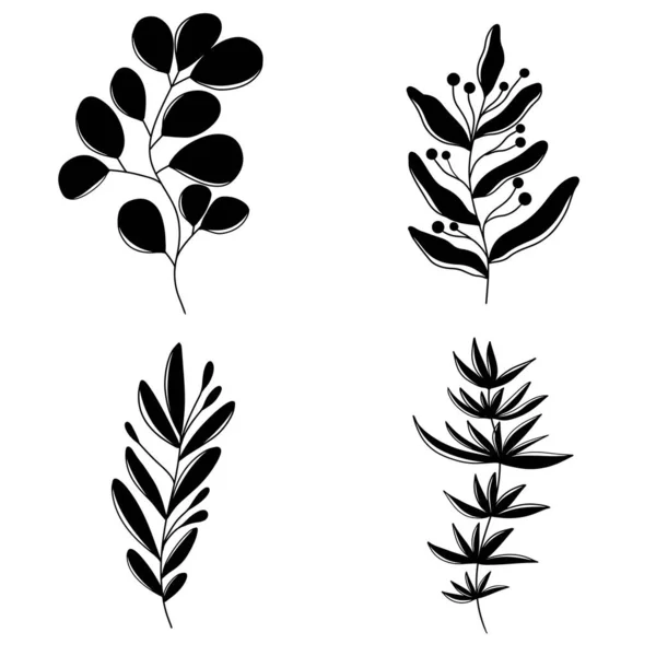 Набор Тропических Ветвей Стеблем Листьями Ягодами Черном Выделены Белом Фоне — стоковый вектор
