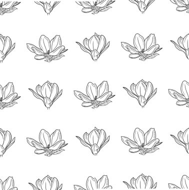 Seamless pattern with magnolia flowers bud in black on white background. Hand drawn vector sketch illustration in doodle engraved vintage outline style. Floral, botanical texture, textile, spring