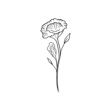 Beautiful realistic Eustoma flower branch with bud and leaves isolated on white background. Hand drawn vector sketch illustration in doodle engraved outline line art style. Floristics