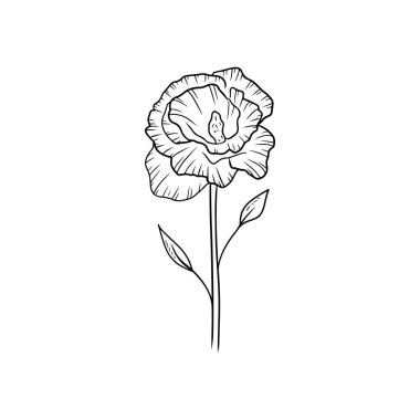 Beautiful realistic Eustoma flower branch with bud and leaves isolated on white background. Hand drawn vector sketch illustration in doodle engraved outline line art style. Floristics
