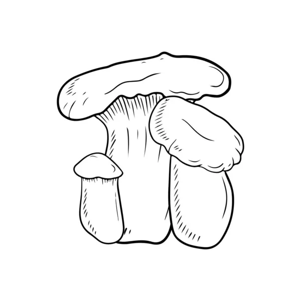Realistic Leurotus Eryngii Black Isolated White Background Hand Drawn Vector — Stock Vector