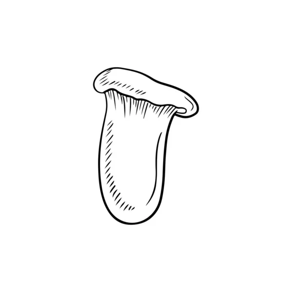 Pleurotus Eryngii Королевский Трубный Гриб Французский Рог Гриб Эринги Королевский — стоковый вектор